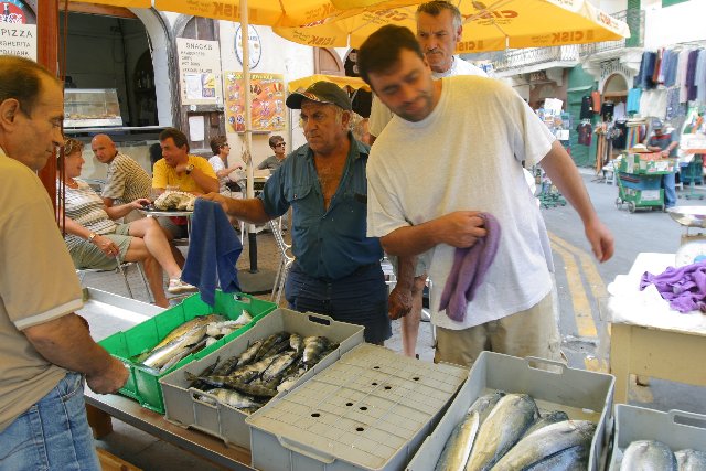 Fresh fish to shop for